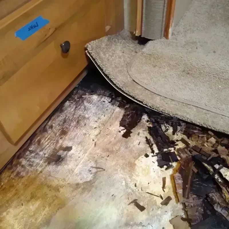 Wood Floor Water Damage in Riverdale, NY